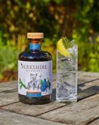 Gin and Tonic with Berkshire Botanical Dry Gin